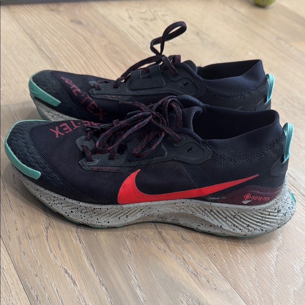 Nike Pegasus GoreTex trail shoes